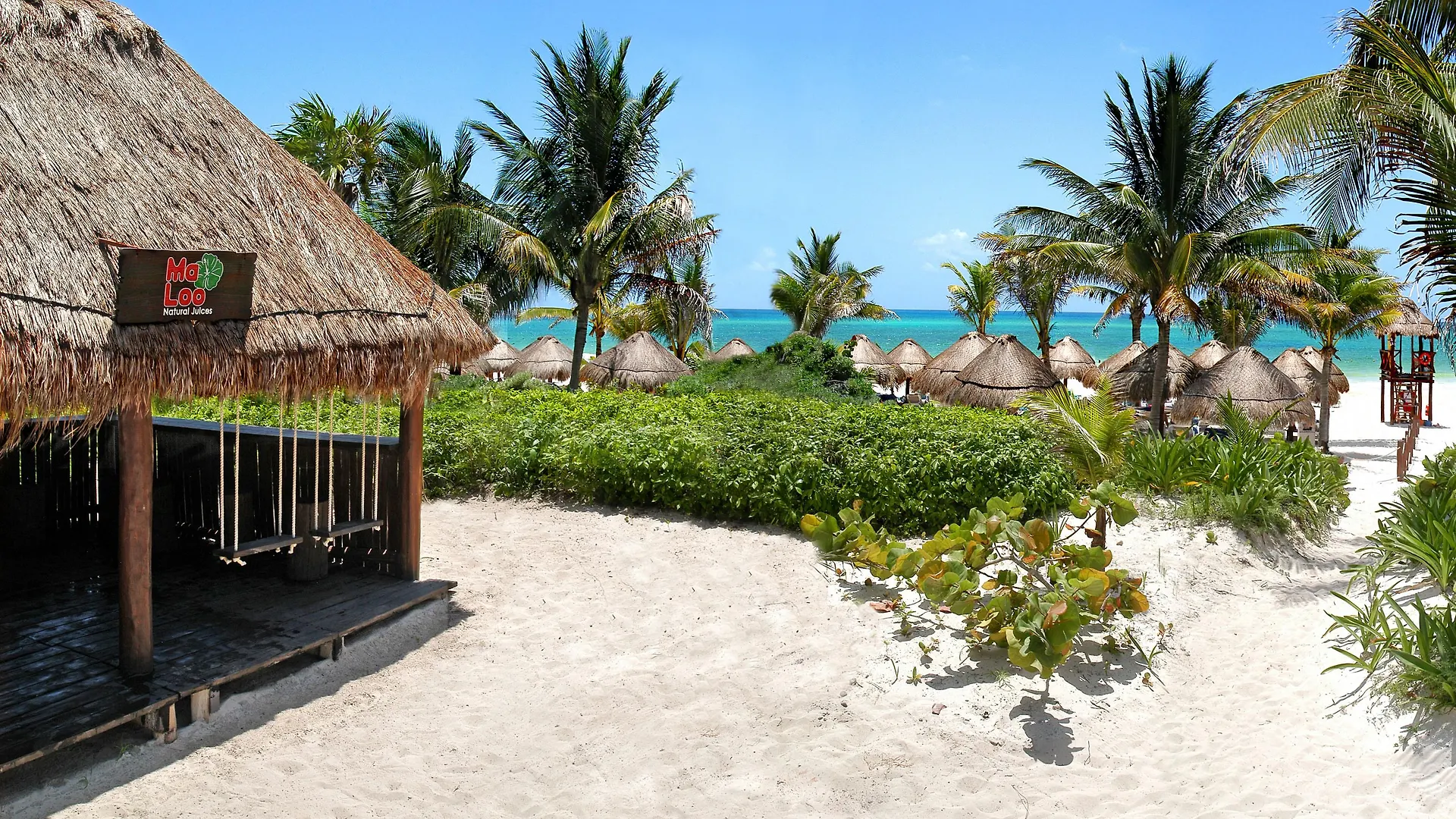 Catalonia Playa Maroma Hotel Punta Maroma 5*,  Mexico
